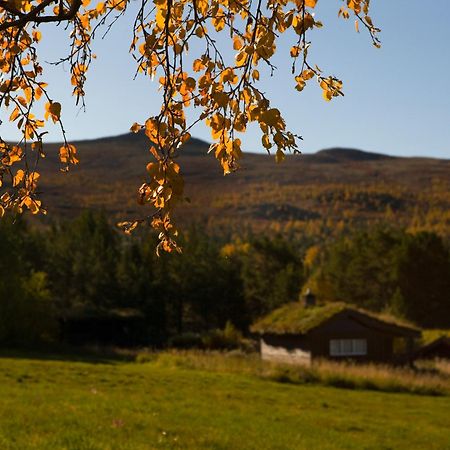 Hotel Oigardseter Fjellstue Høvringen Exterior foto